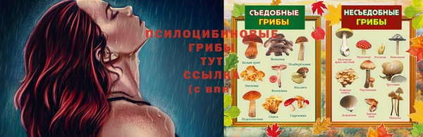 МДМА Пересвет
