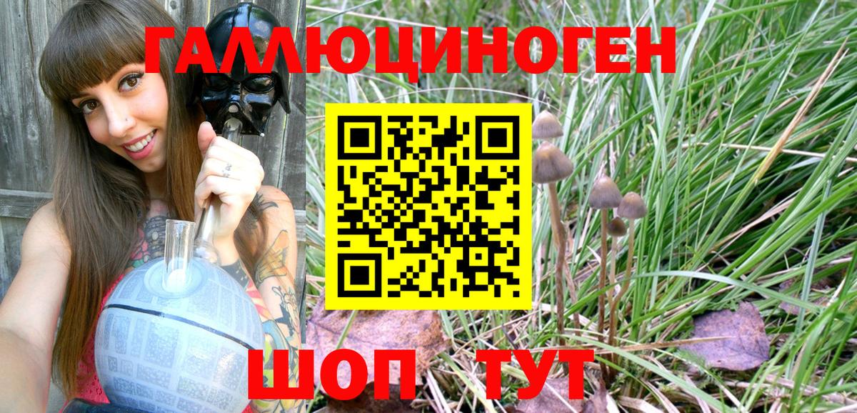 Галлюциногенные грибы Magic Shrooms Котельники
